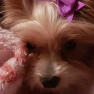 Meet your Posher, Sue